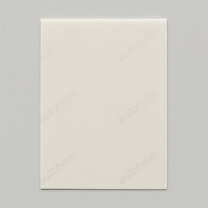 autotype polyester film